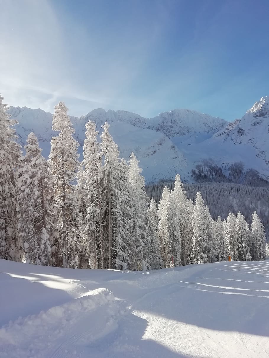 tirol, snow, skiing, austria, alpine, landscape, mountain, winter HD wallpaper