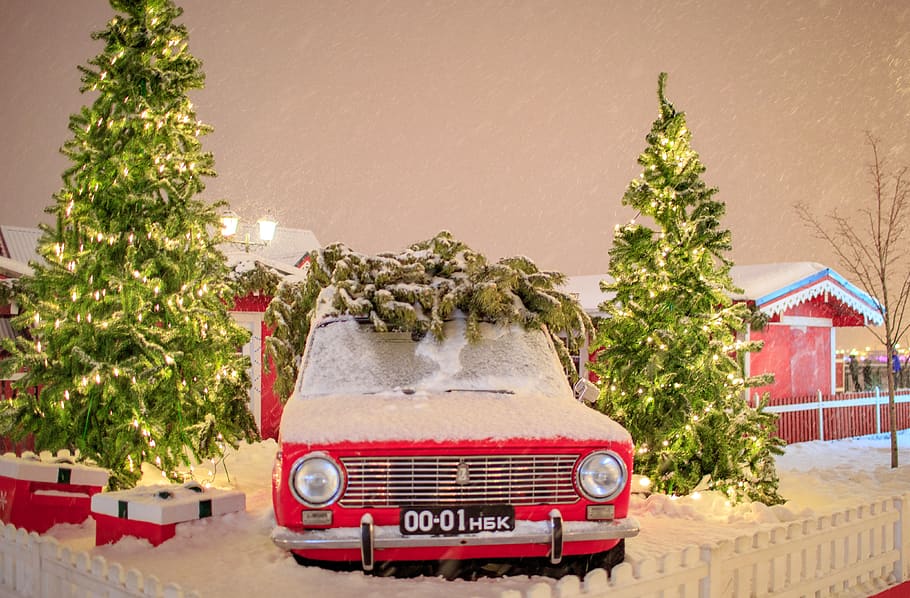 tree, plant, christmas tree, ornament, pine, car, vehicle, transportation, HD wallpaper