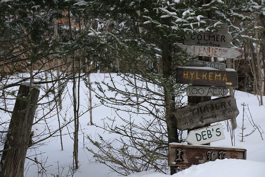 canada, big cedar lake, tree, winter, sign, cottage, trees HD wallpaper