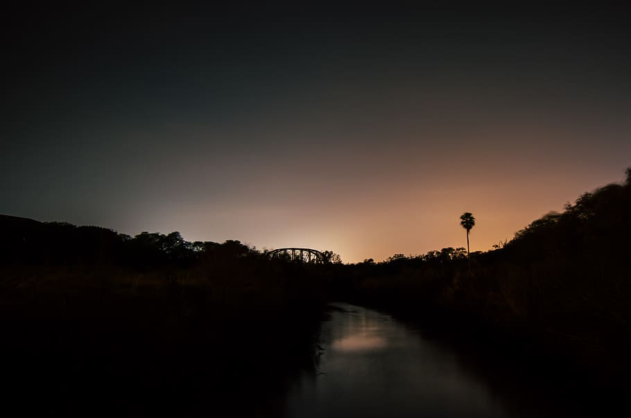 Silhouette of Tree, backlit, Bangkok, bridge, dark, dawn, pattaya HD wallpaper