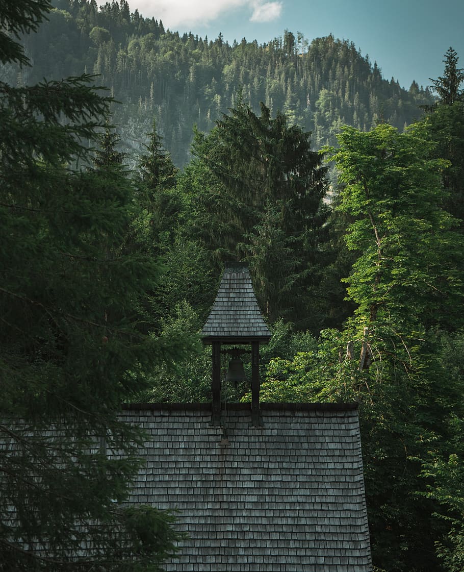 gray house beside green leafed trees, building, mountain, rooftop HD wallpaper