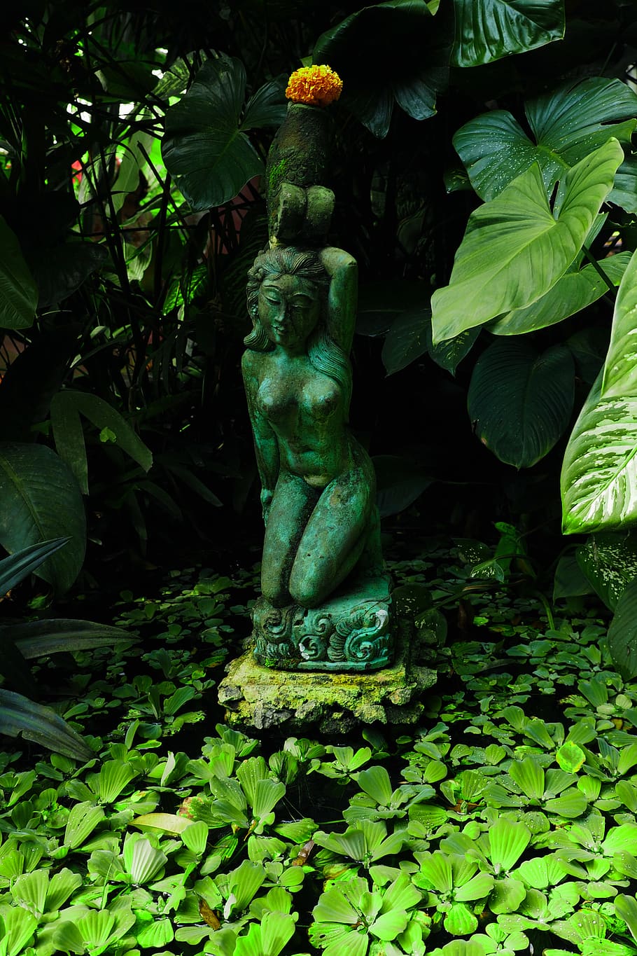 bali, indonesia, statue, plant part, sculpture, leaf, green color HD wallpaper