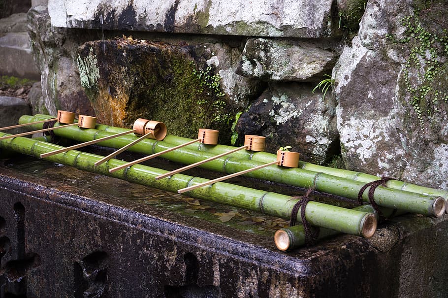 japan, bamboo, temple, purification, buddhism, no people, day HD wallpaper