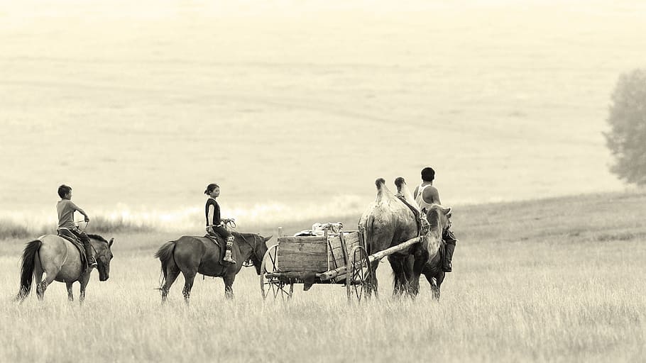 traveler, group, human, activity, rider, animal, horse, camel HD wallpaper
