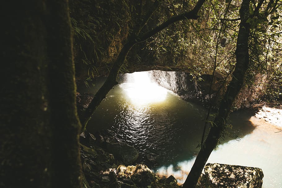 australia, springbrook, springbrook national park, water, tree HD wallpaper