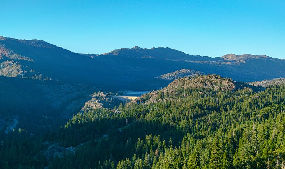 1170x2532px Free Download Hd Wallpaper United States Donner Pass Trees Power Lines 6655