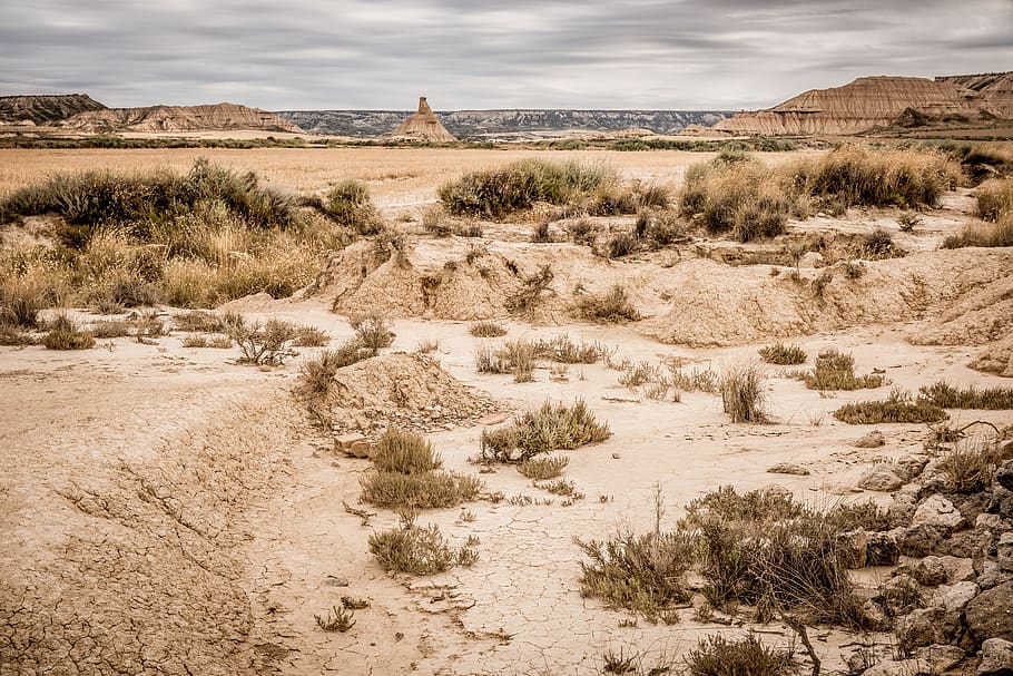 green field, environment, landscape, scenics - nature, desert HD wallpaper