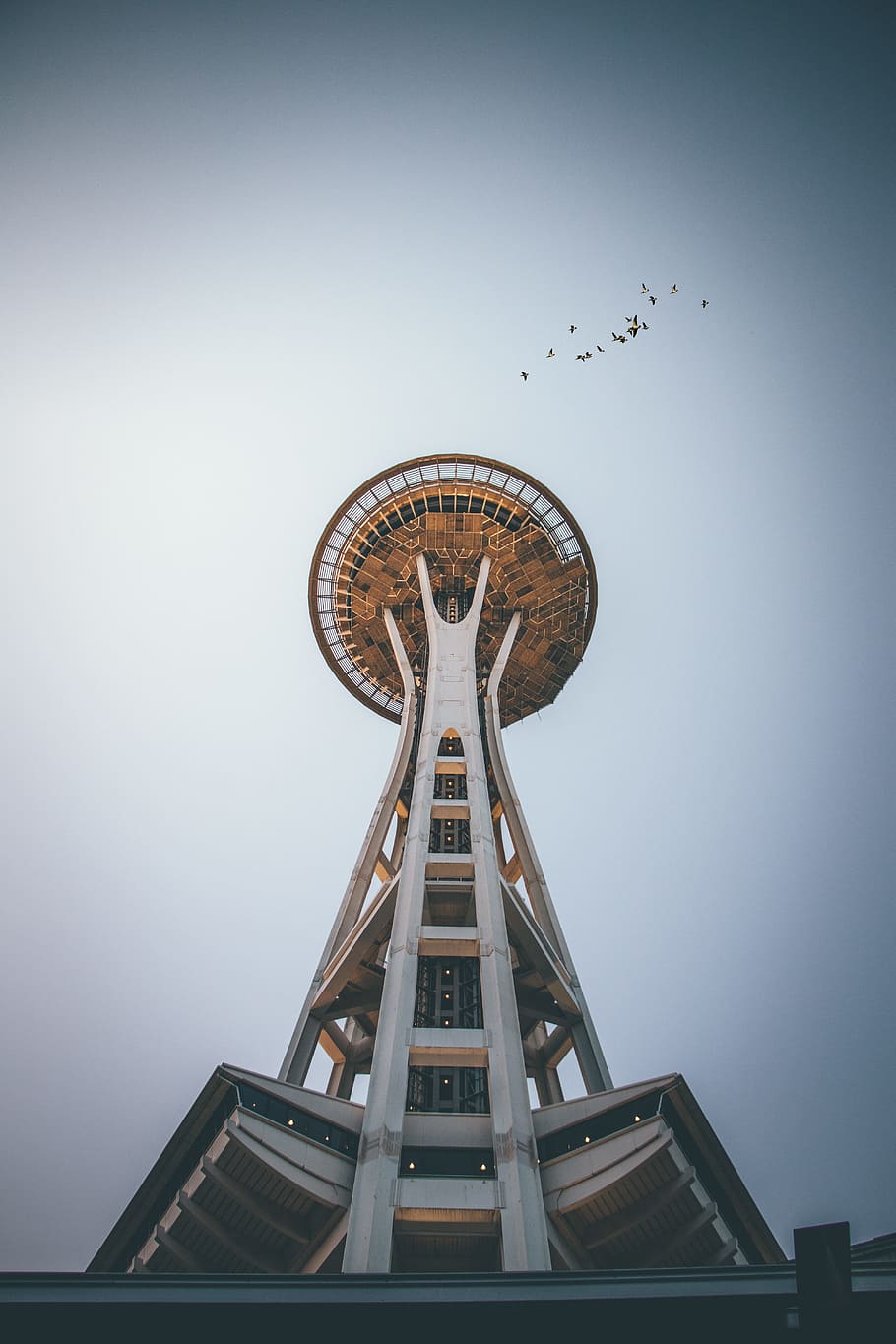 landscape photography of tower, building, bird, sky, symmetry HD wallpaper