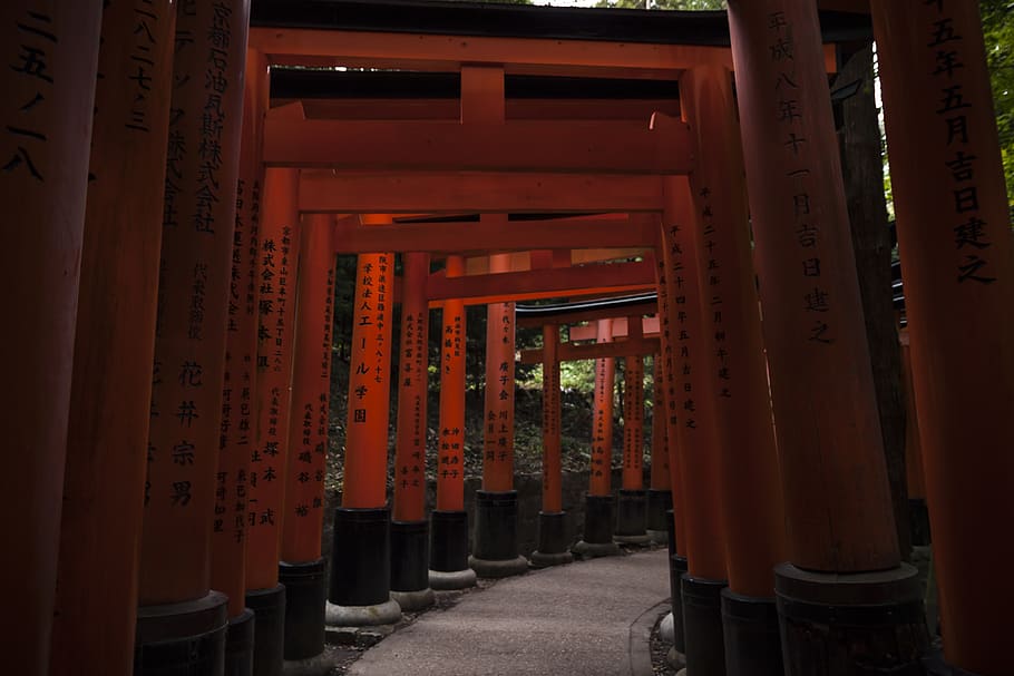 gray walkway under torii gates, building, architecture, column HD wallpaper
