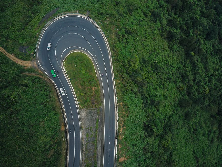 three vehicles on curved road, plant, green color, transportation HD wallpaper