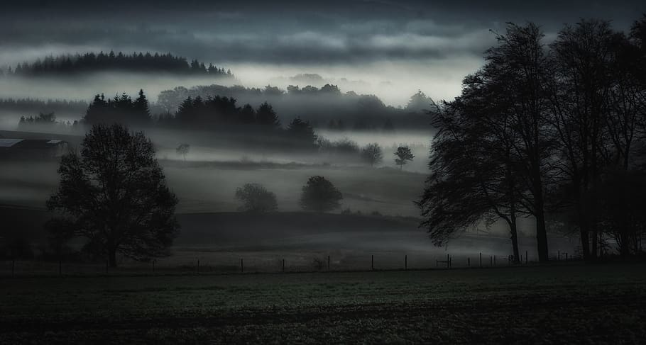 fog, valley, landscape, nature, mountains, forest, trees, panorama HD wallpaper
