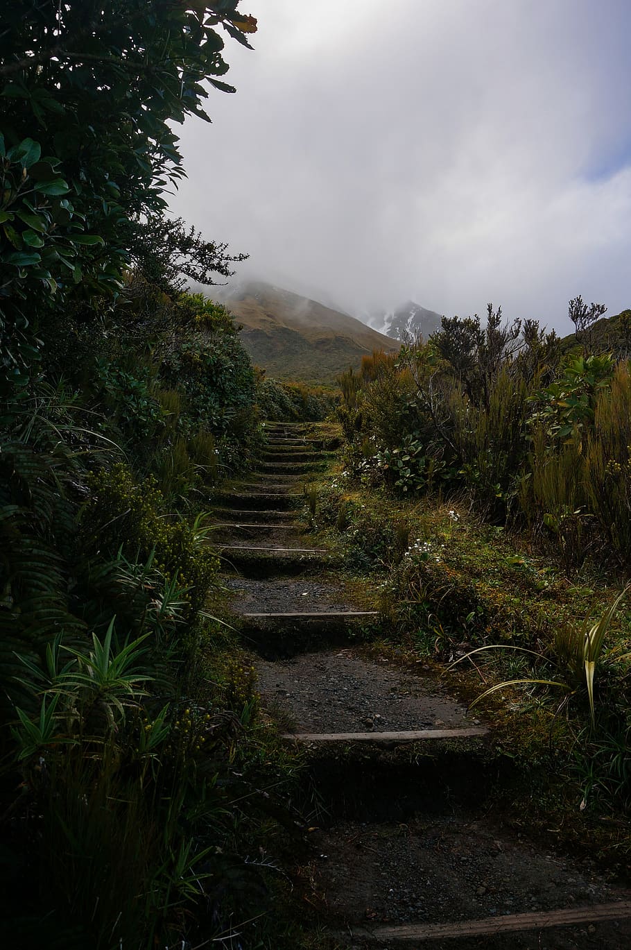 Taranaki 1080P, 2K, 4K, 5K HD wallpapers free download | Wallpaper Flare