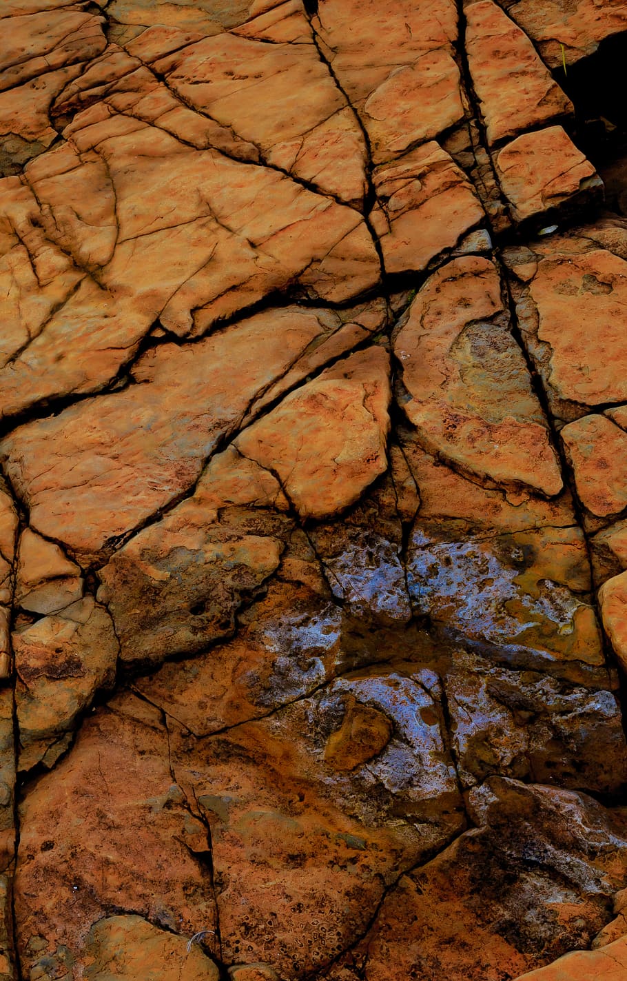 cracked brown rock, soil, ground, wood, brick, mud, skin, fungus, HD wallpaper