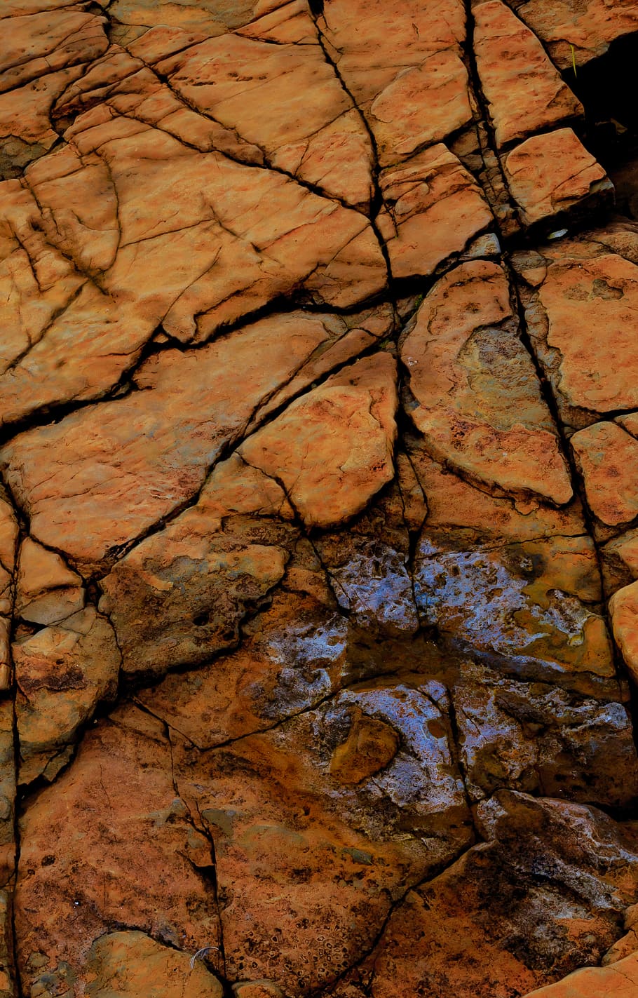 cracked brown rock, soil, ground, wood, brick, mud, skin, fungus HD wallpaper