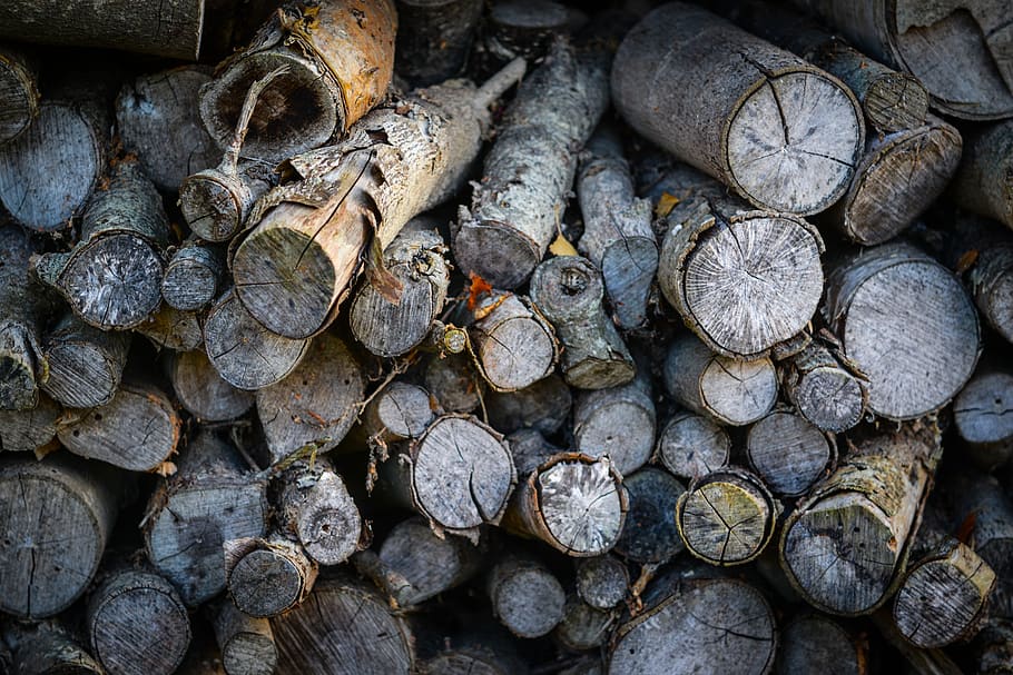 wood, nature, log, tree, firewood, fireplace, burn, dry, timber HD wallpaper
