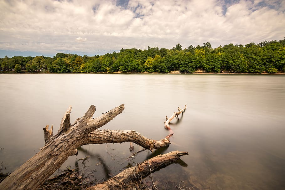 see, himmel, nature, cloud, wood, tree, water, plant, sky, cloud - sky HD wallpaper