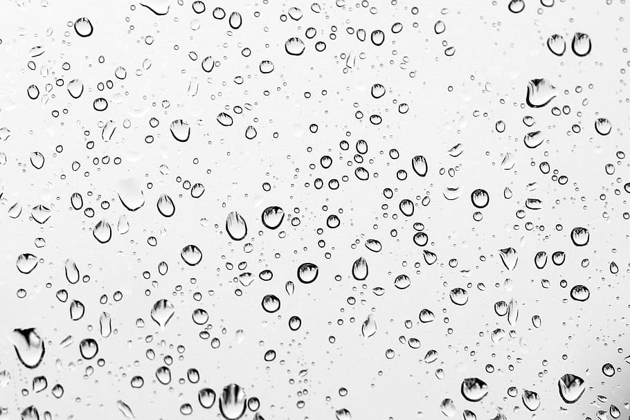 rain, drip, rainy, wet, droplets, nature, water, background HD wallpaper