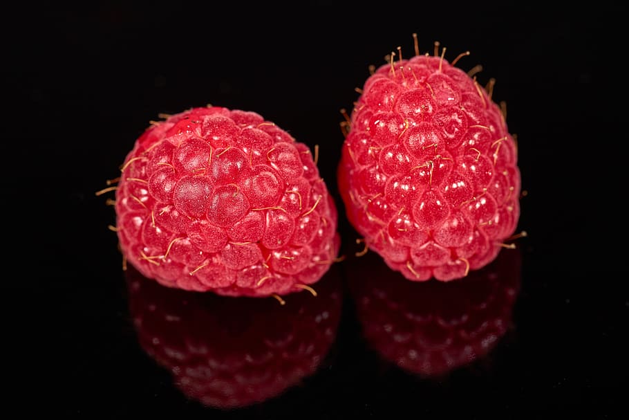 raspberry, red, fresh, vitamins, fruits, tasty, bio, healthy HD wallpaper
