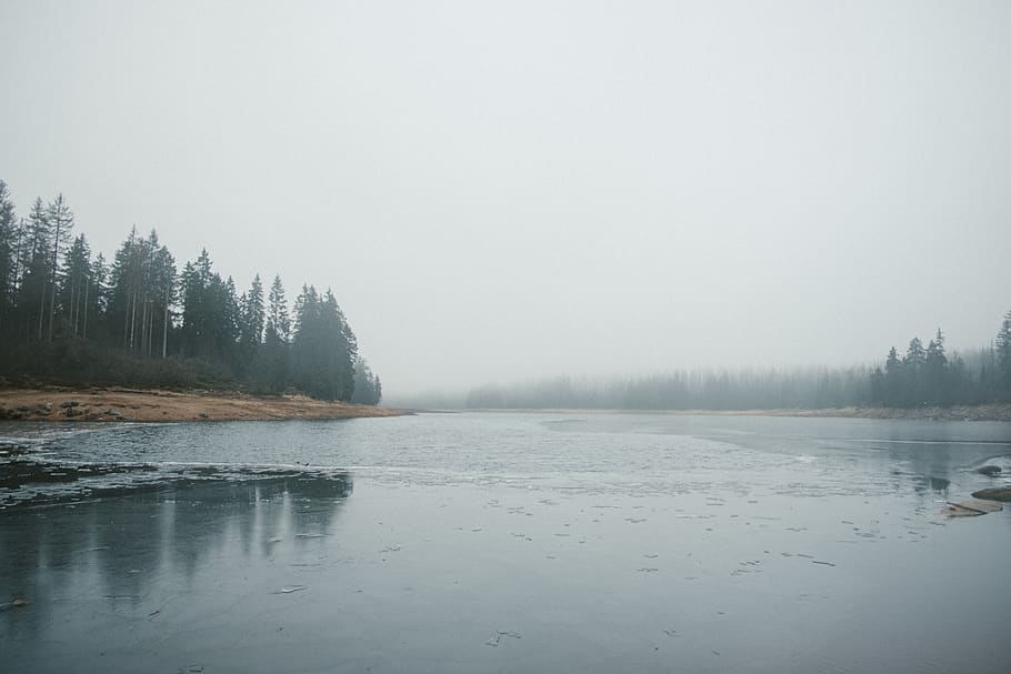 germany, oderteich, forest, wood, sea, harz, water, winter HD wallpaper