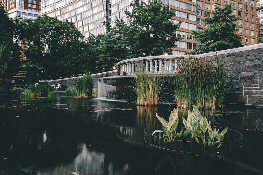 foundtain, pond, ducks, dusk, trees, night, waterfall, new york HD wallpaper