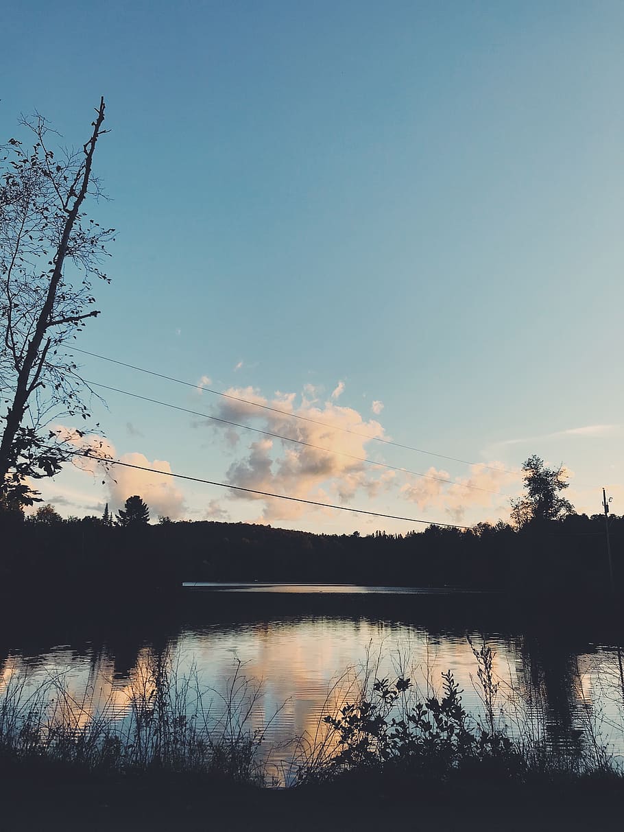 canada, lac green, sky, tranquility, tree, beauty in nature HD wallpaper