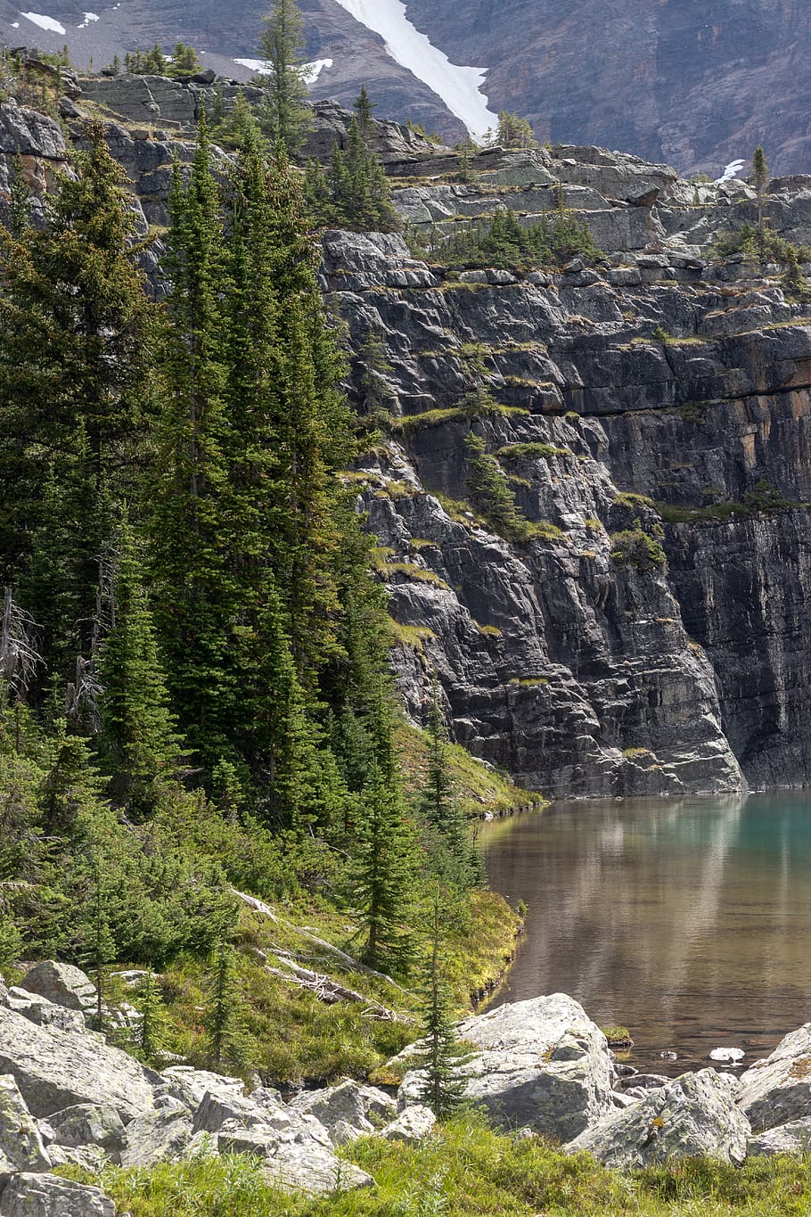 trees on rock mountain, water, cliff, canada, oesa, wilderness HD wallpaper