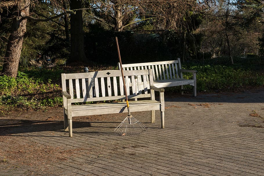 break, relaxation, park bench, rest, winter light, seat, plant HD wallpaper