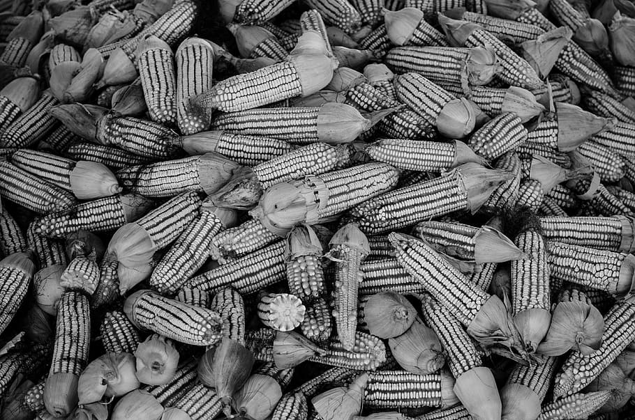 mexico, cazones de herrera, large group of objects, full frame HD wallpaper