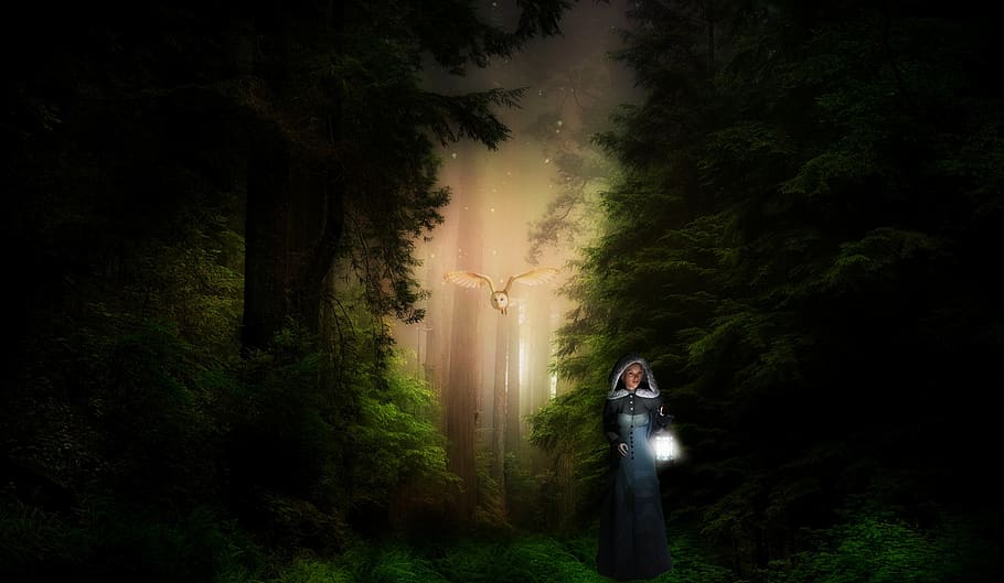 fantasy, forest, light, trees, mysterious, fairytale, female HD wallpaper