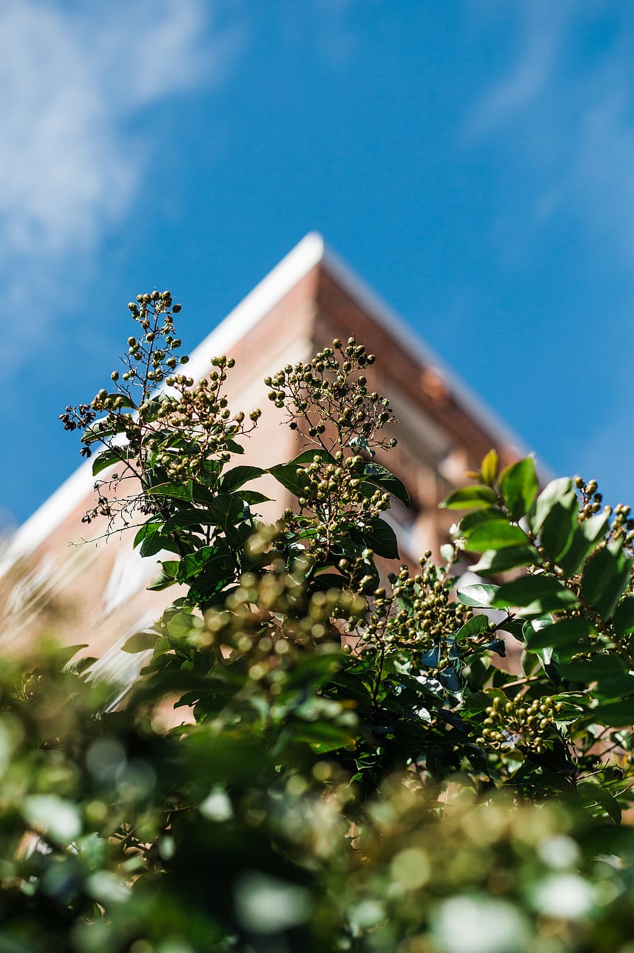 blue, green, angle, corner, architecture, brick, building, sky HD wallpaper