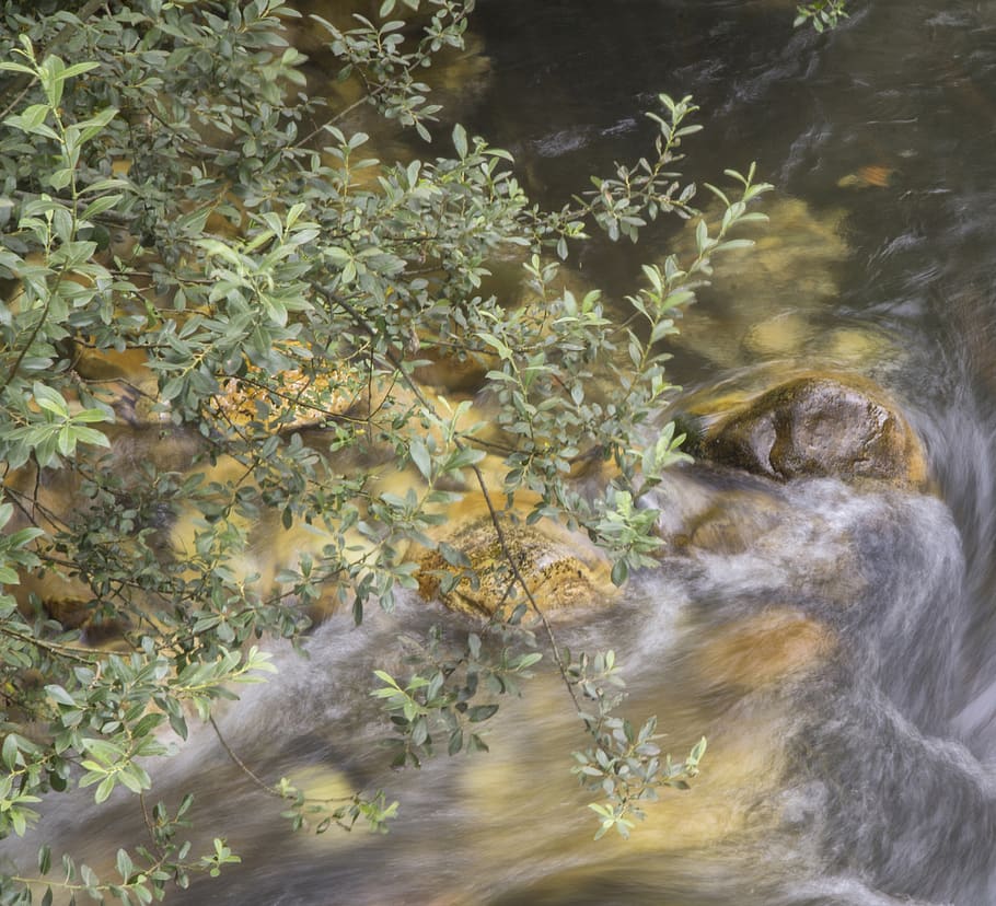 river, rocks, branches, plant, nature, no people, tree, blurred motion HD wallpaper