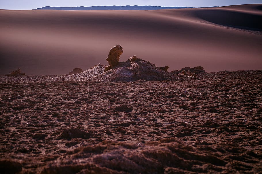 desert plain under clear skies, san pedro de atacama, chile, nature HD wallpaper