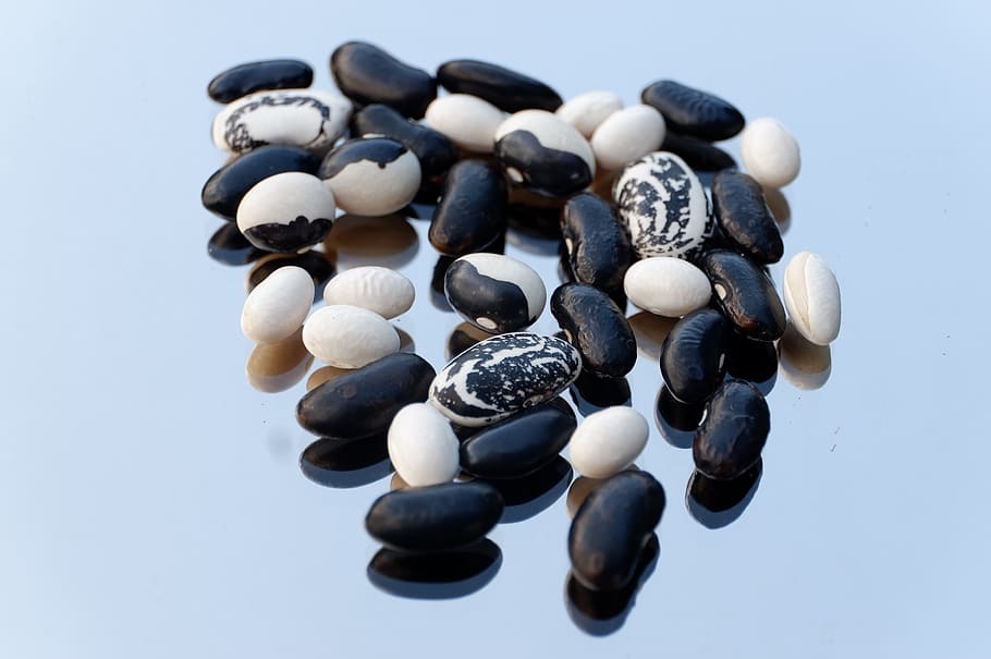 beans, black, white, garden bean, mirror, rod bean, bush bean HD wallpaper