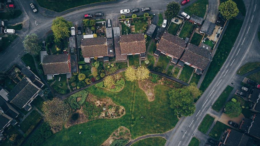 trees, grass, aerial, drone, cars, high angle view, aerial view HD wallpaper