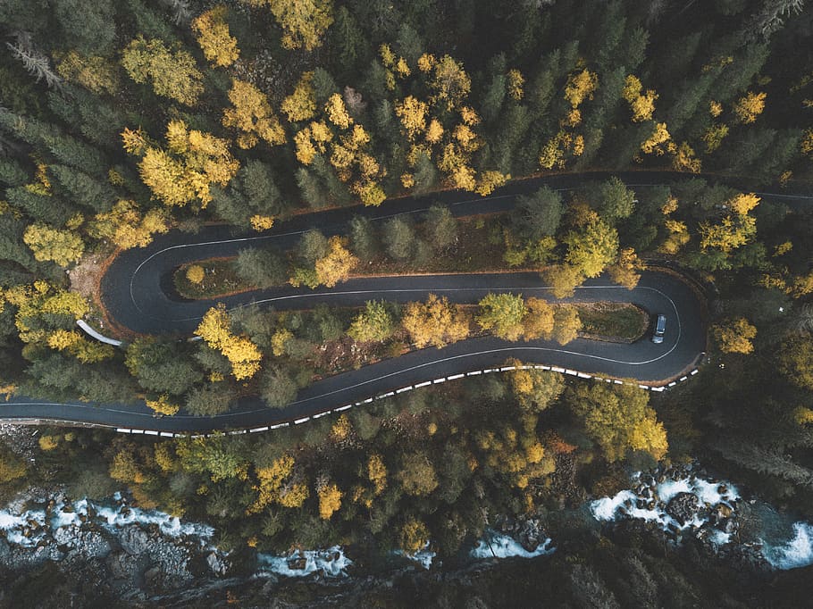 Top View Photo of Curved Road Surrounded by Trees, 4k wallpaper, HD wallpaper