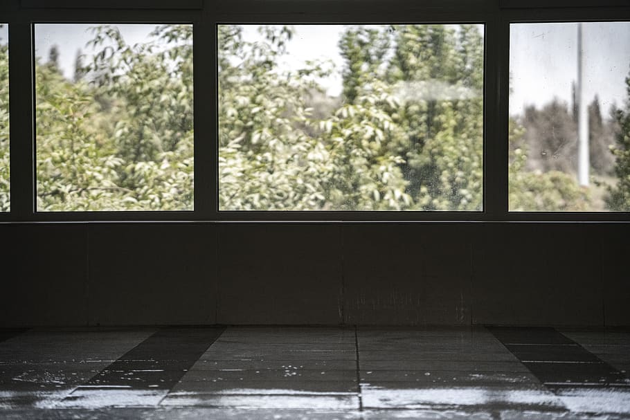 clear glass window, poster, collage, tree, big window, foliage HD wallpaper