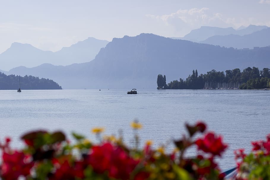 switzerland, lucerne, colour, gradient, landscape, lake, alps HD wallpaper