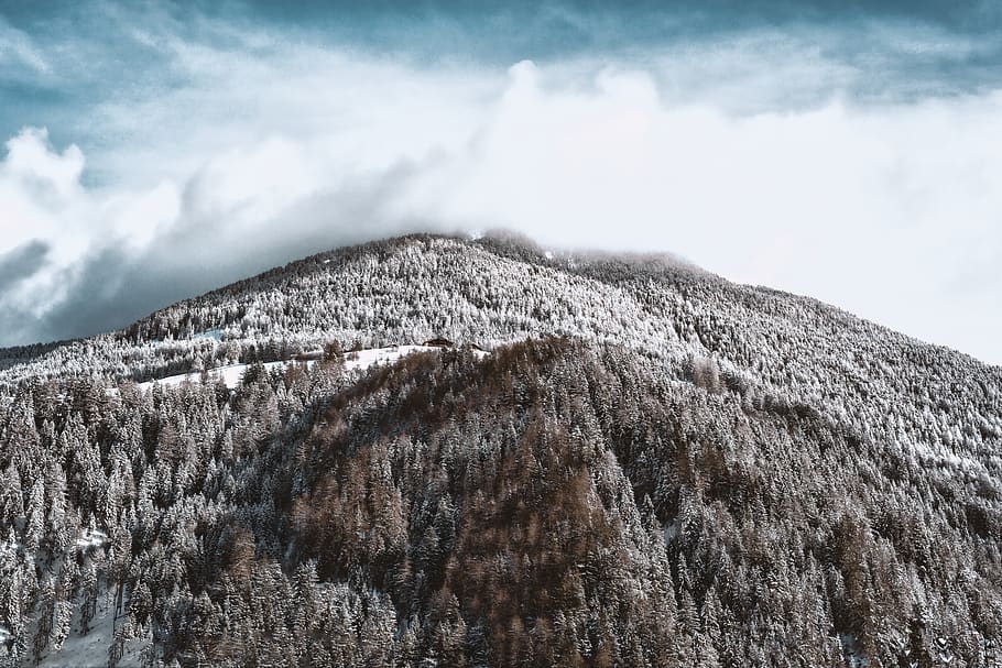 Snow-covered Mountain and Forest, clouds, cold, daylight, environment HD wallpaper