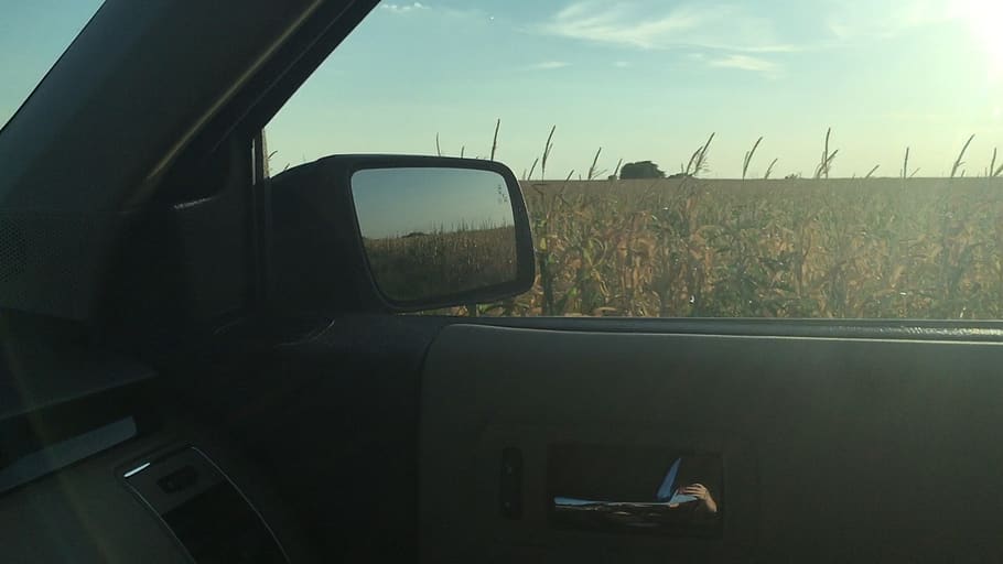 joyride, field, mode of transportation, car, motor vehicle HD wallpaper