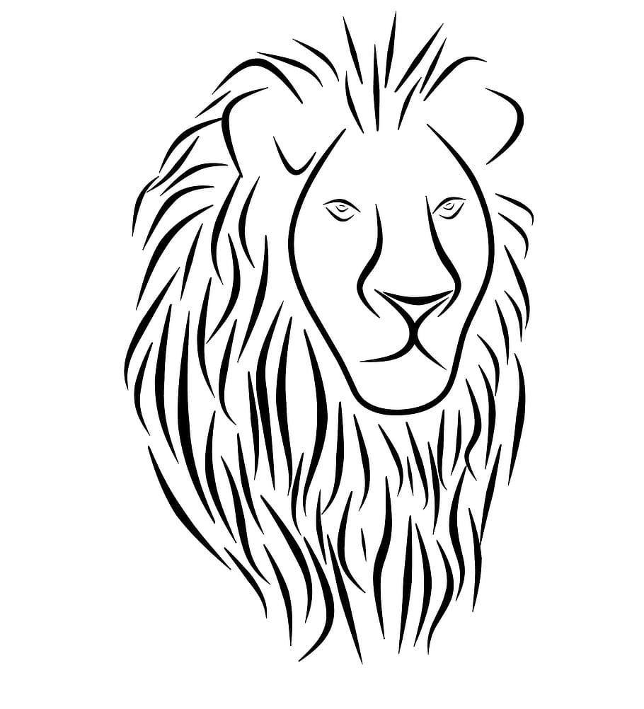 Lion head tattoo4 Royalty Free Vector Image  VectorStock