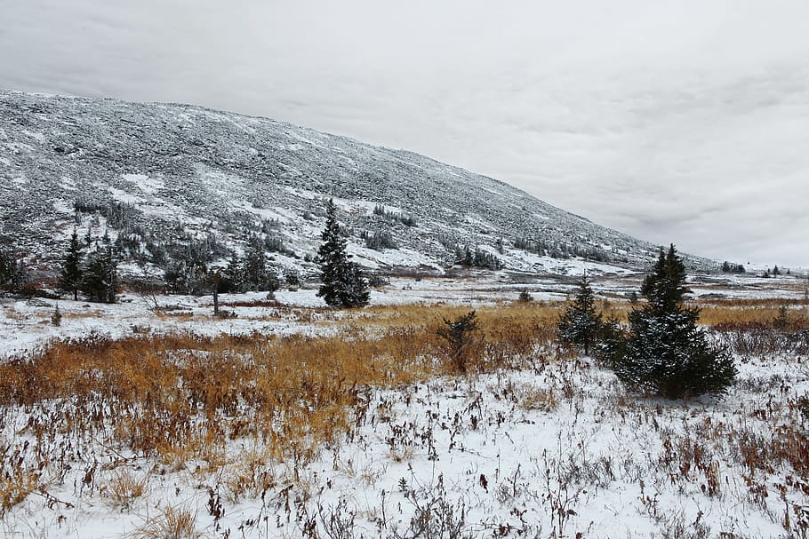 con2011, mountain, mountainside, nature, outdoors, russia, cold temperature HD wallpaper