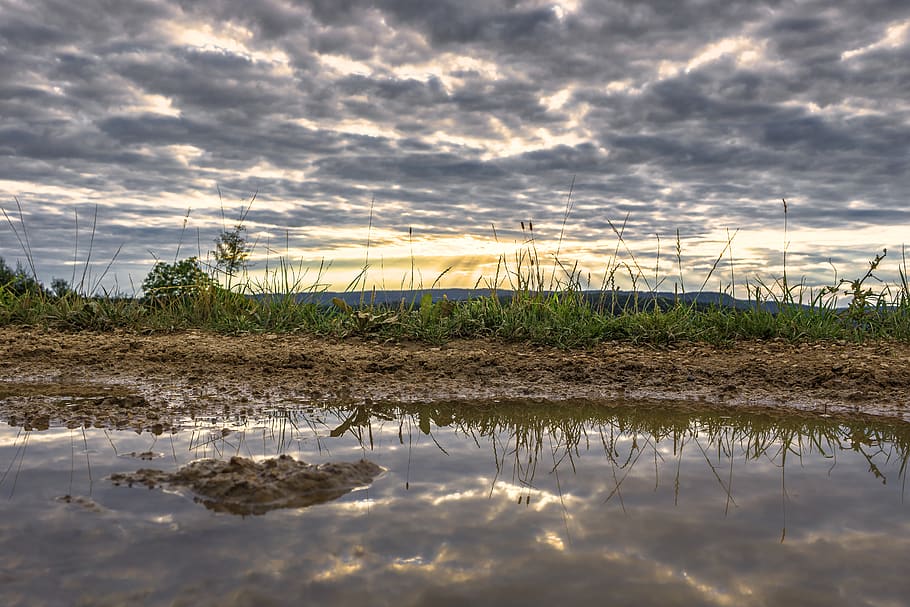 sunset, puddle, water, clouds, way, farmland, grass, cloud - sky HD wallpaper