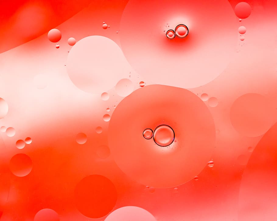 art, graphics, mae, winnipeg, canada, bubble, food, white, droplet HD wallpaper