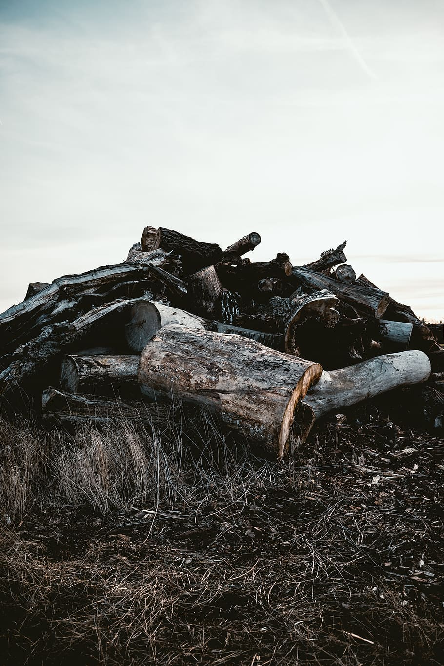 brown wood log, transportation, ship, shipwreck, vehicle, driftwood HD wallpaper