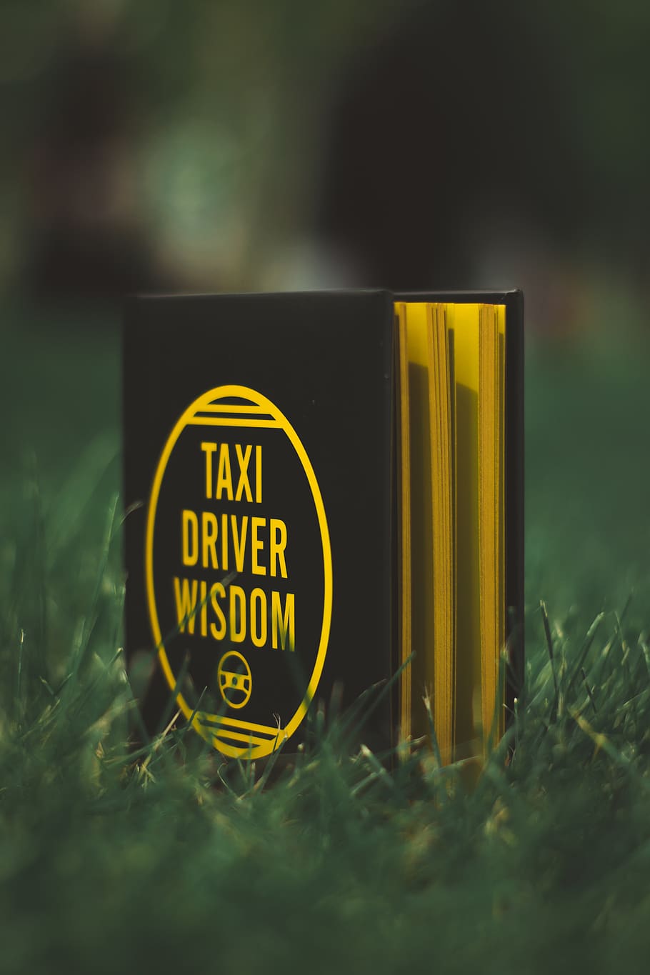 HD wallpaper: black and gold Taxi Driver Wisdom signage, close-up, yellow,  text | Wallpaper Flare