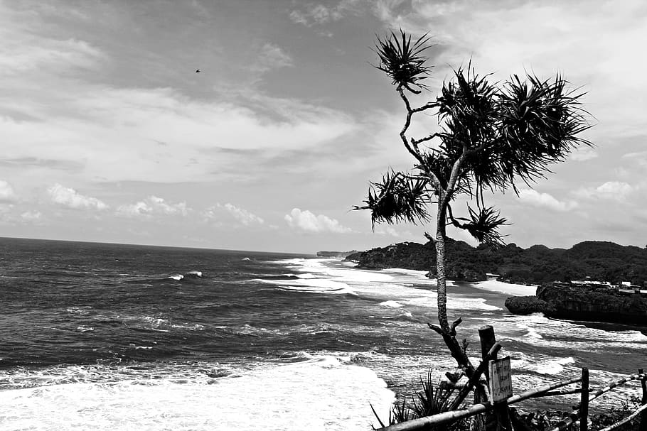 beach, black, white, sky, water, sea, cloud - sky, beauty in nature HD wallpaper