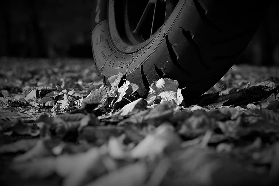 engine, bmw, f700gs, plant part, leaf, selective focus, nature HD wallpaper