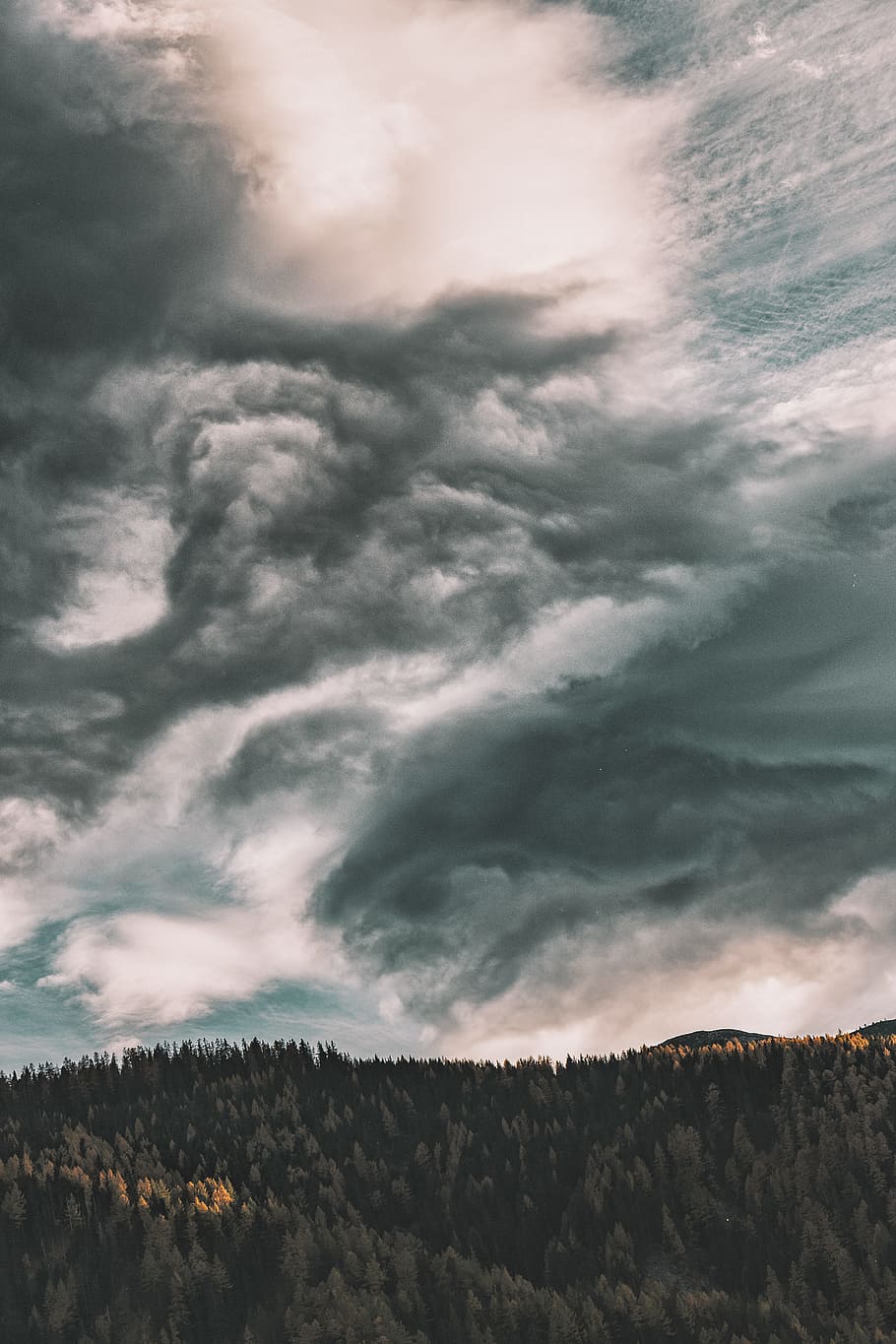 green grass field under white clouds during noon time, tree, storm HD wallpaper