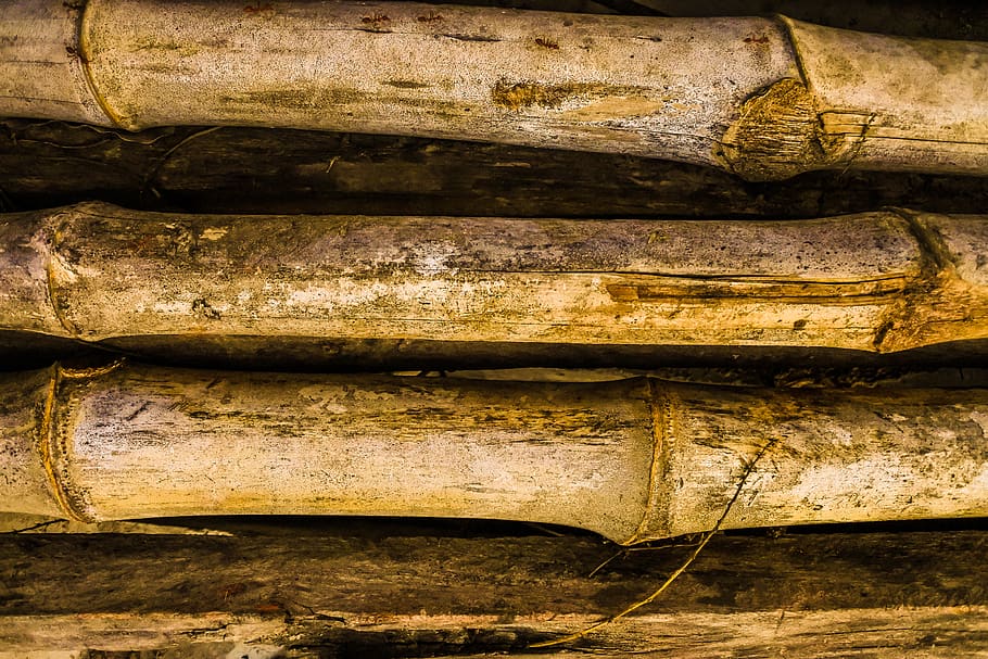 Four Brown Bamboo Grasses, background, bark, black, close-up HD wallpaper