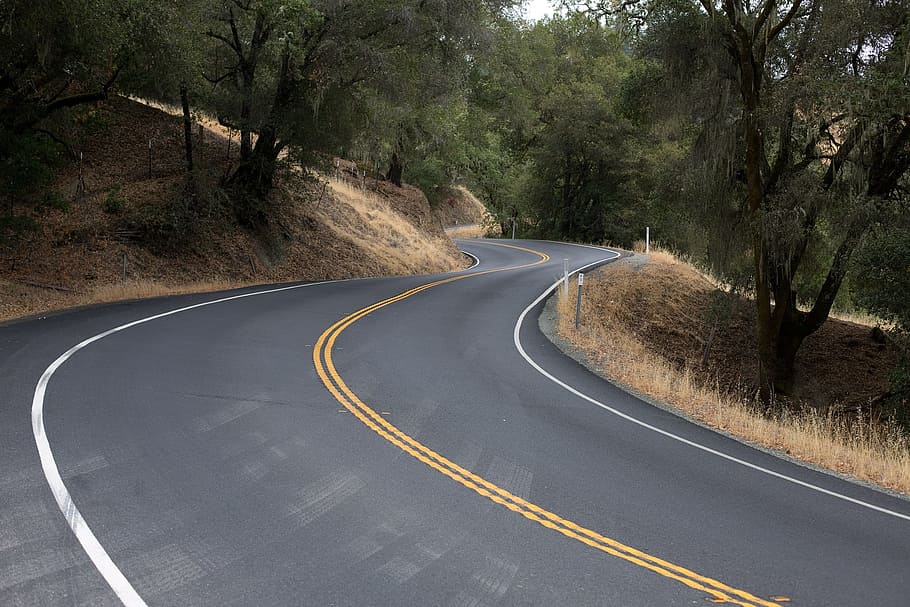road, route, path, pathway, winding, construction, tree, woods HD wallpaper